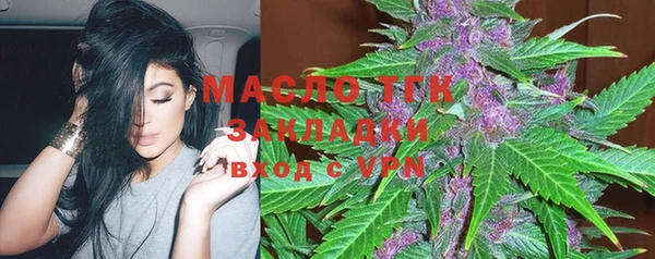 хмурый Аркадак
